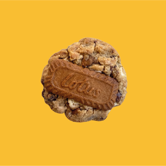 Cookie Lotus at Normal&More